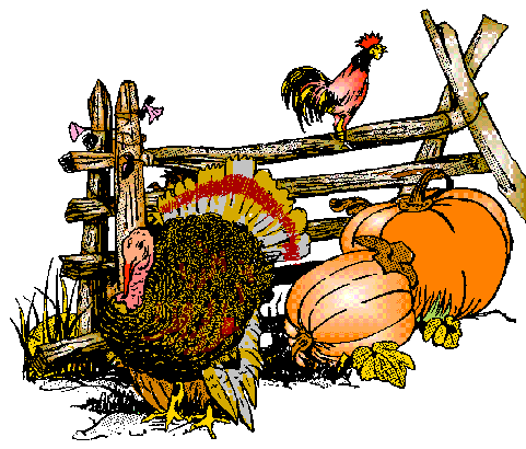 HAPPY 
THANKSGIVING