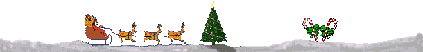 SANTA SLED