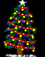TREE WITH LIGHTS