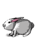 BUNNY