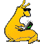 PICTURE OF A SLUG