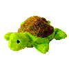 PICTURE OF A TURTLE